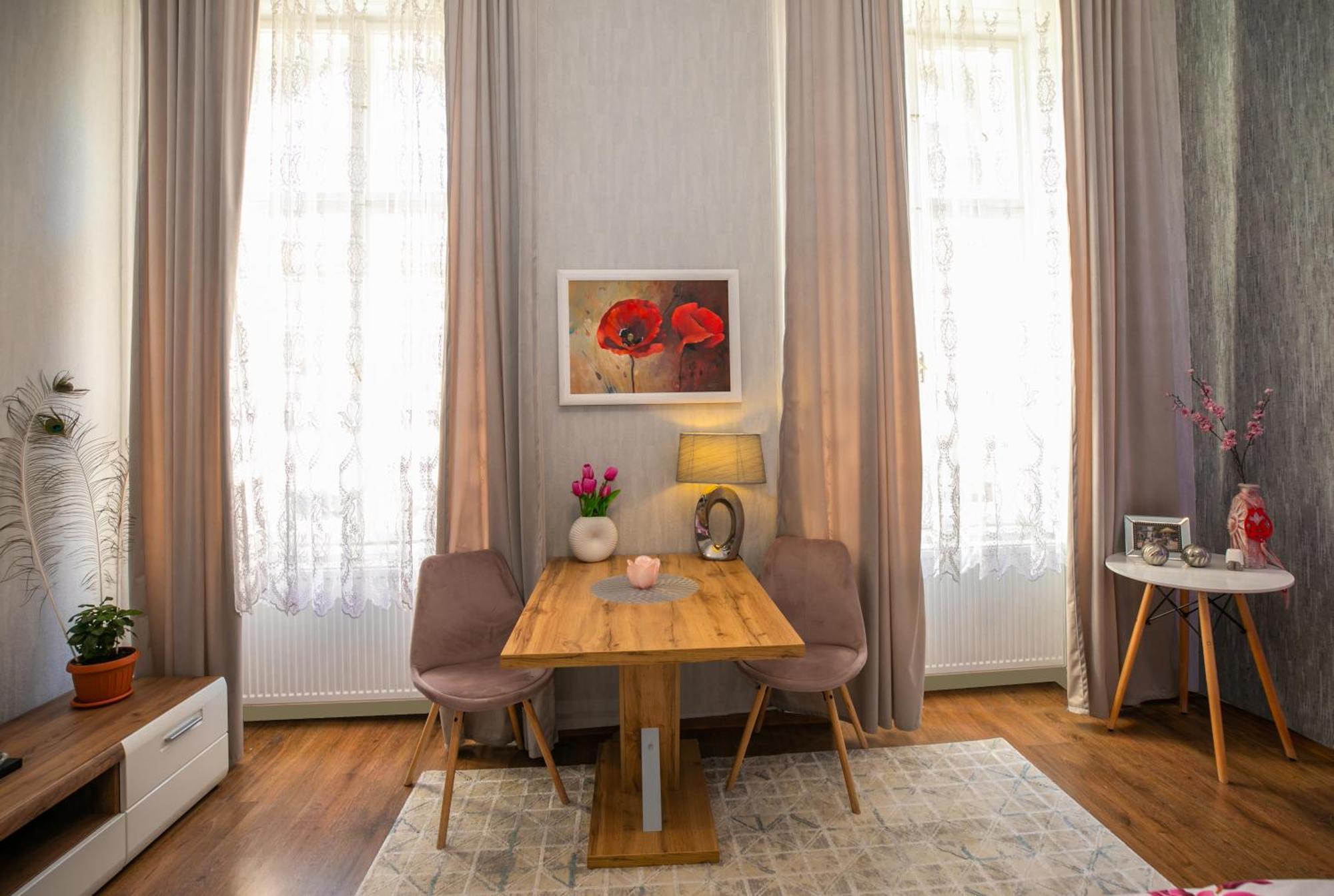 Casa Larisa Apartment Arad Exterior photo